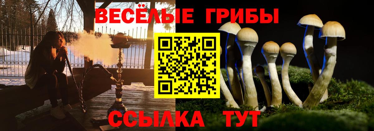 магазин  наркотиков  Вход с VPN  Майкоп  Галлюциногенные грибы мухоморы 