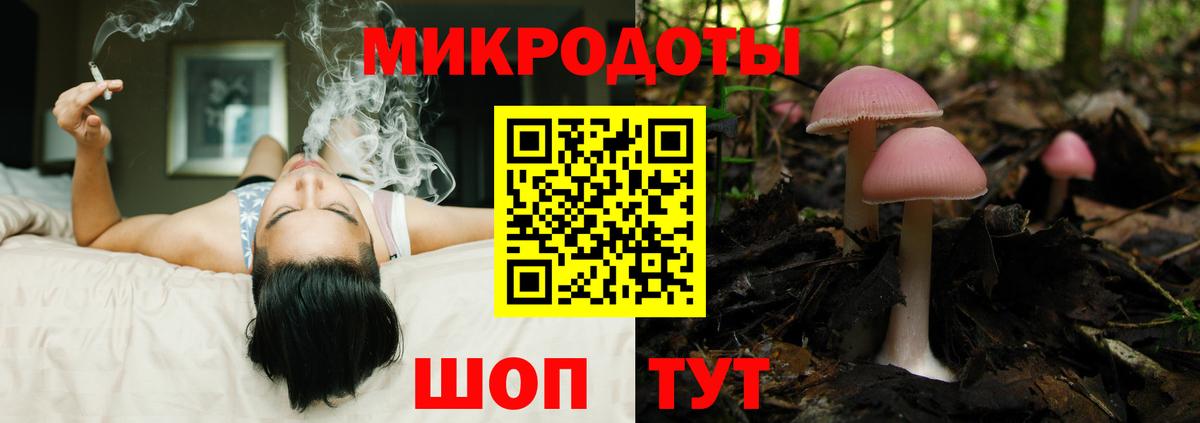 Псилоцибиновые грибы GOLDEN TEACHER Майкоп