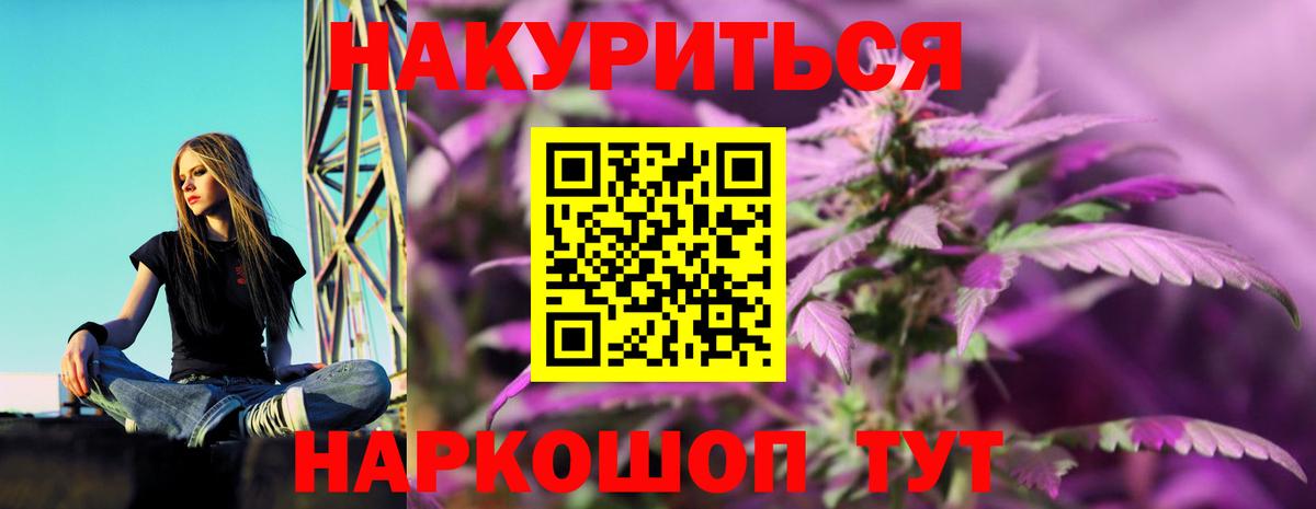 Бошки Шишки план Майкоп